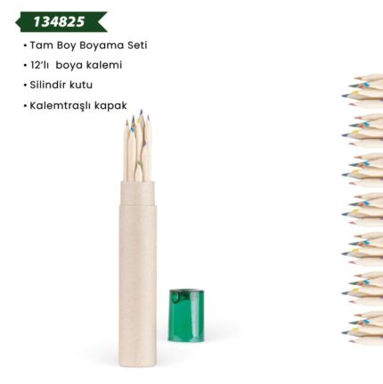 134825 Tam Boy Boyama Seti