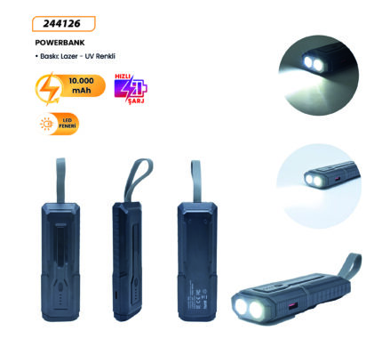244126 Powerbank