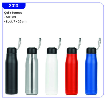 3013 Termos